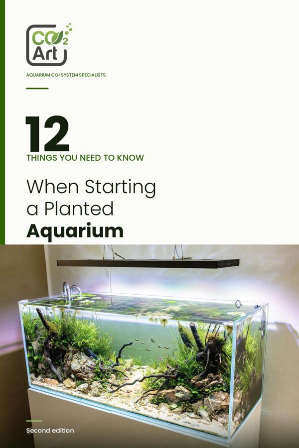 Cover of the e-book 12 Things You Need to Know When Starting a Planted Aquarium